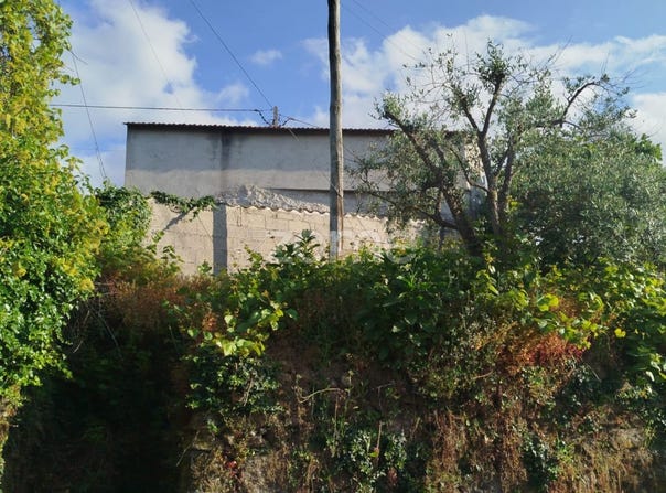 Mangualde, Viseu District