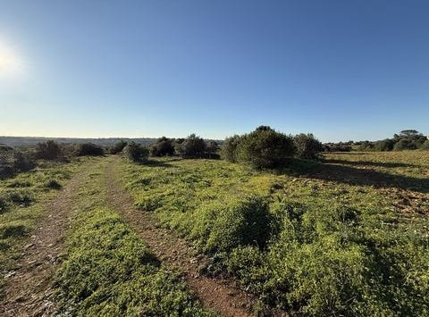 Mafra, Lisboa