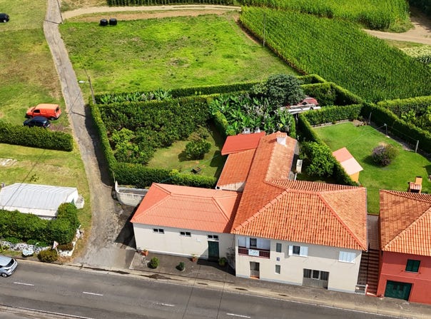 Castelo Branco, Autonomous Region of the Azores 9900