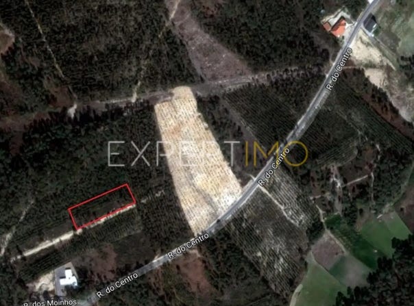 R. dos Baldios 3, 2490 Cercal, Portugal, Santarém, Santarém District 2490