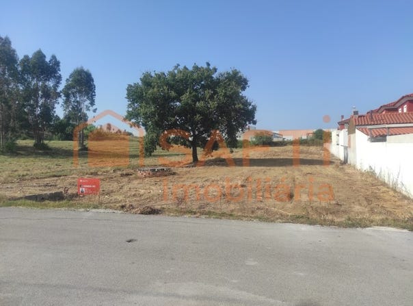 Calvaria de Cima, Leiria District