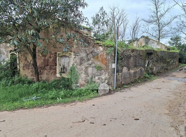Caldas da Rainha, Leiria District