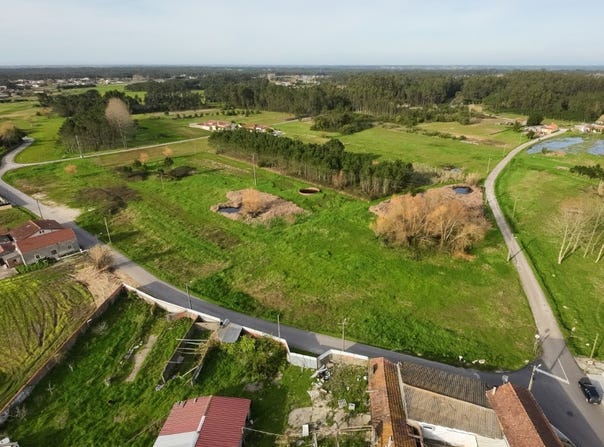Tocha, Coimbra District