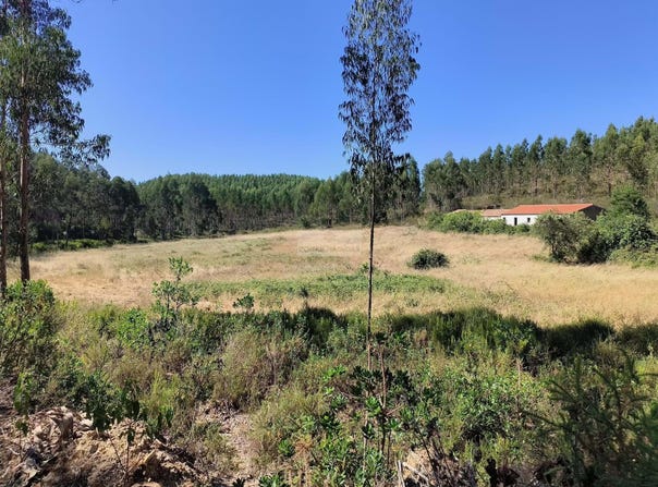 Aljezur, Algarve 8670