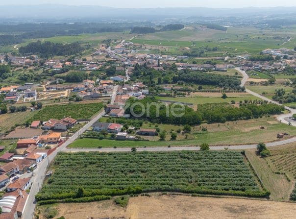 Anadia, Aveiro District