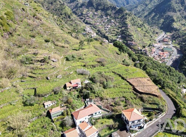 Ilha da Madeira, Madeira