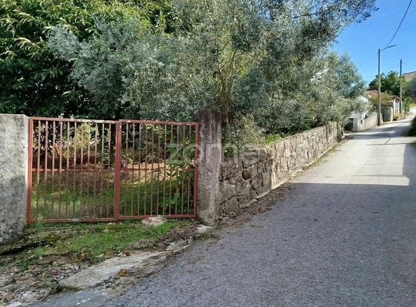 Tondela, Viseu District