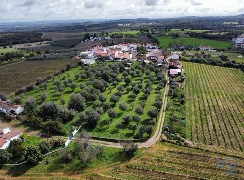 Estremoz, Évora 7100-011