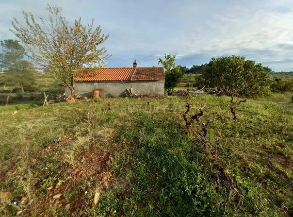 Ninho do Açor e Sobral do Campo, Castelo Branco District