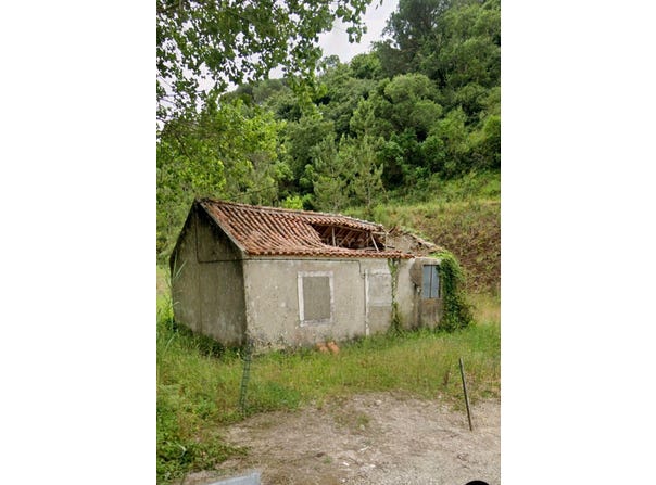 Cela, Leiria District