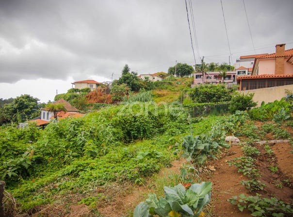 Funchal, Madeira