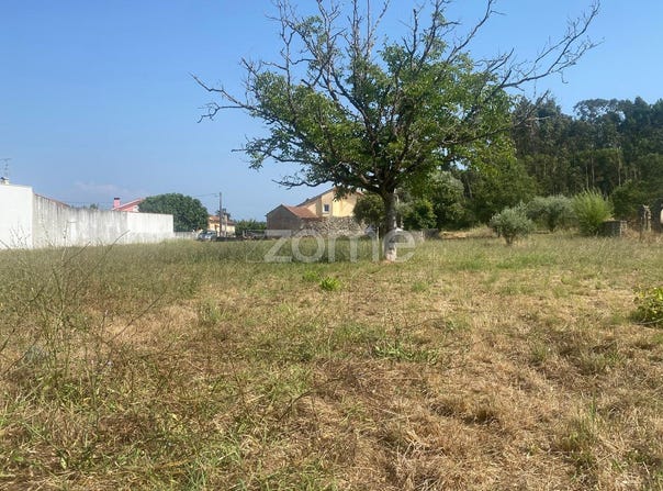 Cantanhede, Coimbra District