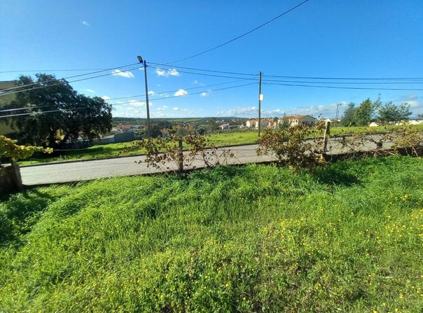 Castelo Branco, Castelo Branco District
