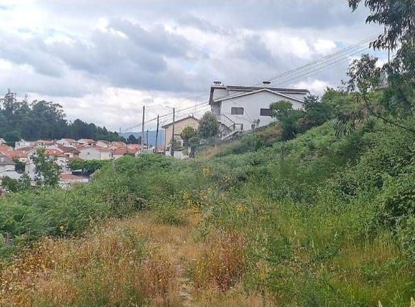 Fafe, Braga Municipality 4820