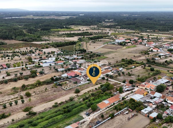 Cantanhede, Coimbra District