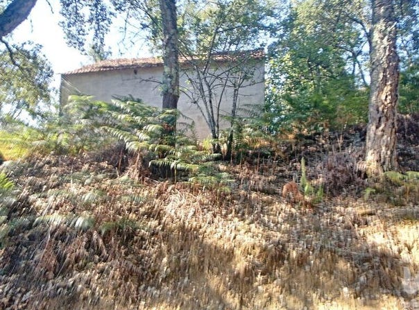Leiria, Leiria District