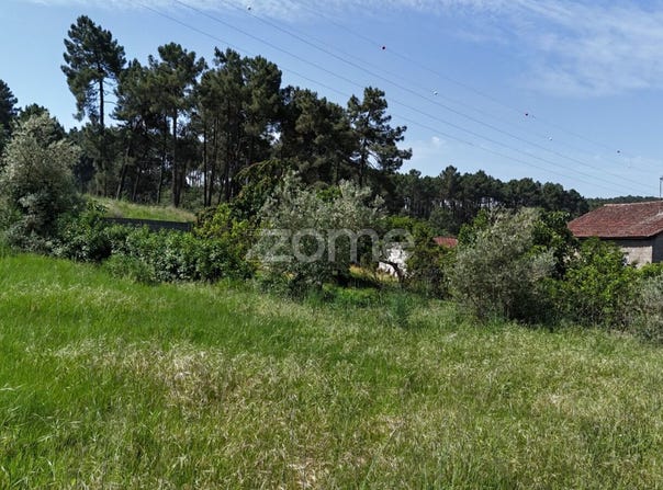 Chaves, Vila Real District