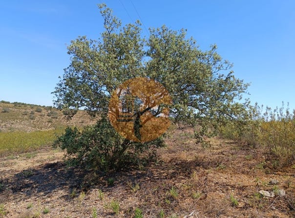 Odeleite, Algarve