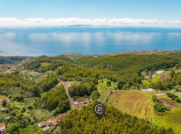 Ilha da Madeira, Madeira