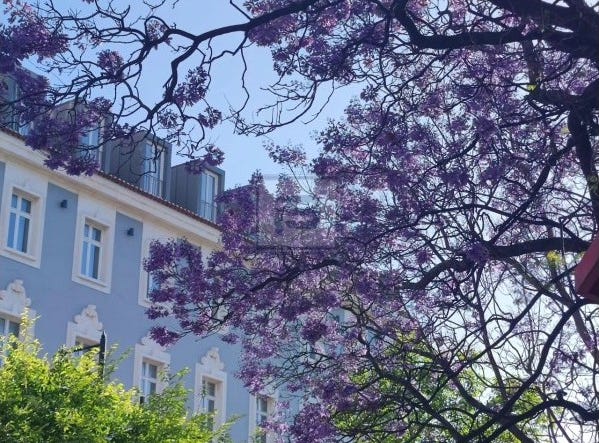 Avenidas Novas, Lisbon