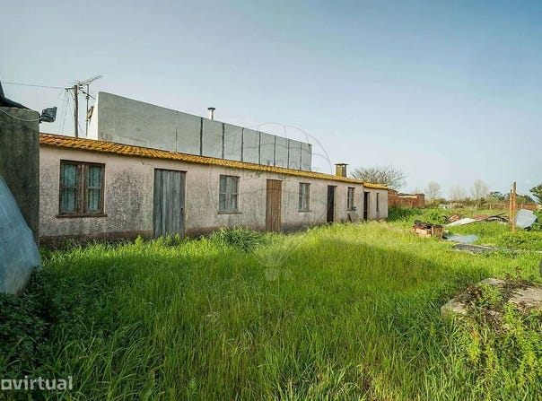 Murtosa, Aveiro District