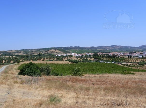Vila de Frades, Beja District