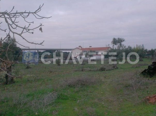 Paialvo, Santarém District