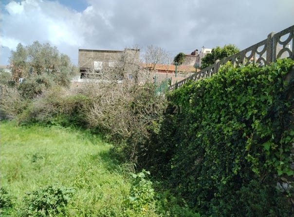 Maiorga, Leiria District 2460-000