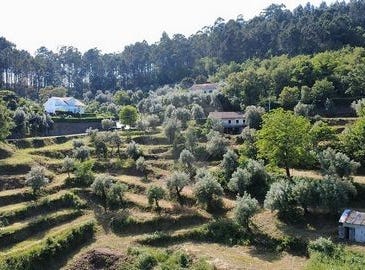 Celorico De Basto, Braga