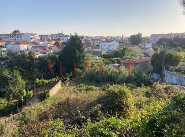 Sintra (Santa Maria E São Miguel), Lisbon 2710