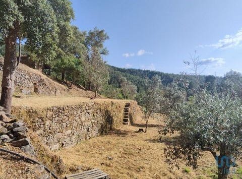 Sertã, Castelo Branco 6100-514