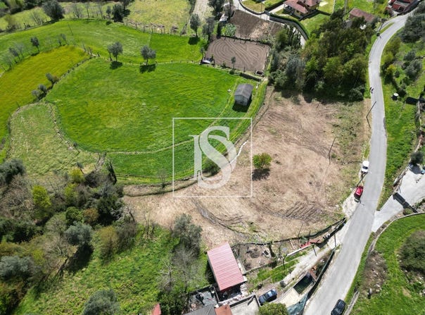 Oriz (santa Marinha) e Oriz (são Miguel), Braga