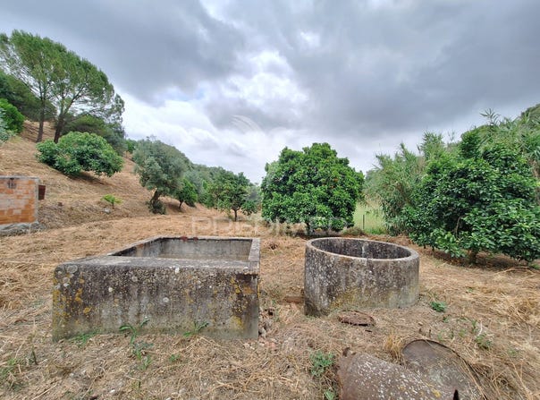 Achete, Azoia de Baixo e Póvoa de Santarém, Santarém, Santarém District 2005