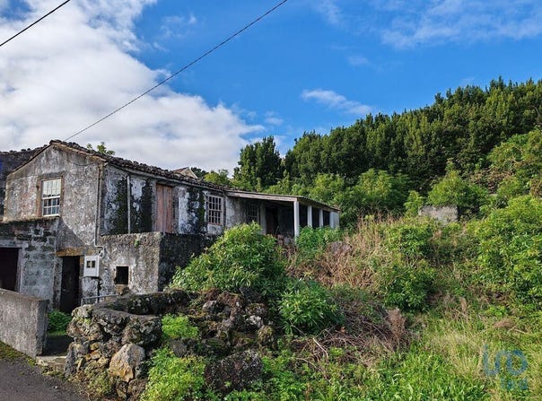 Piedade, Autonomous Region of the Azores 9930