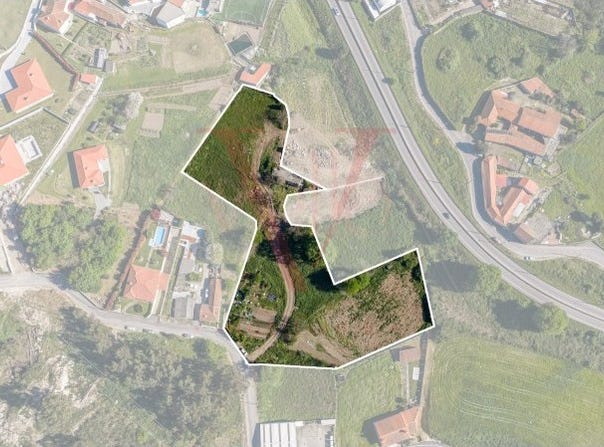 Serzedelo, Braga