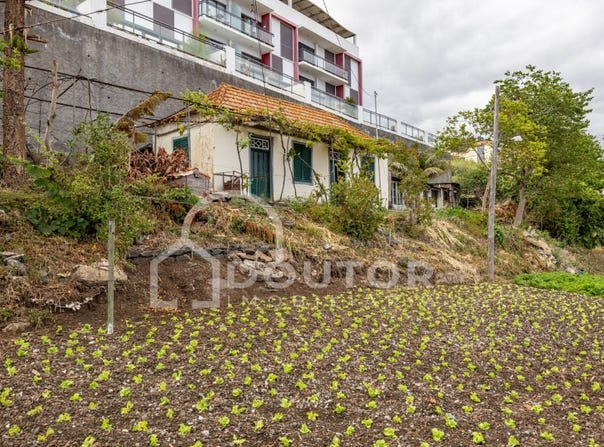 Caniço, Madeira