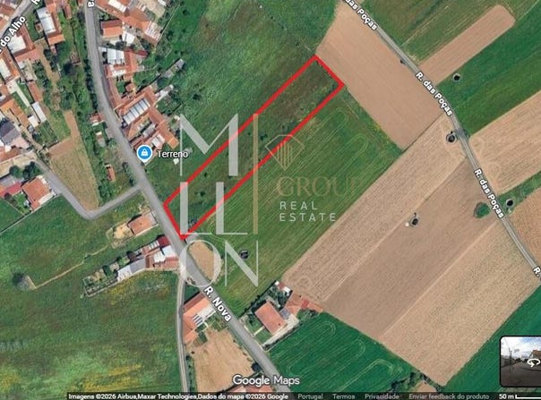 VAGOS, Aveiro District