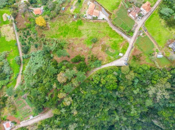 Sao Jorge, Madeira 9230