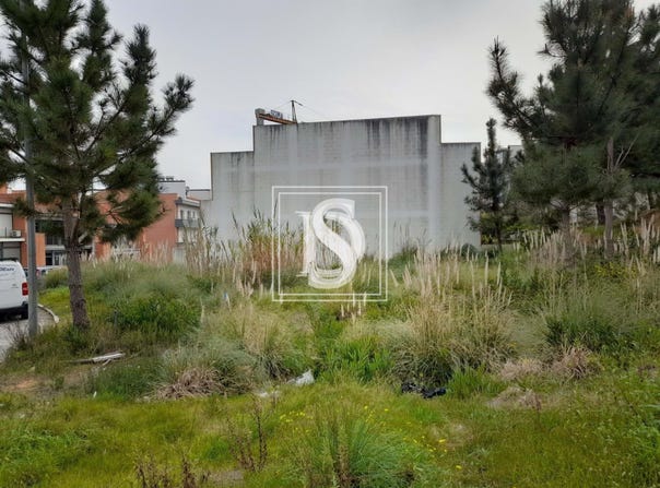 Tavarede, Coimbra 3080