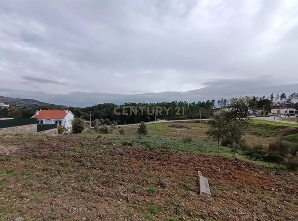 São Vicente da Beira, Castelo Branco District