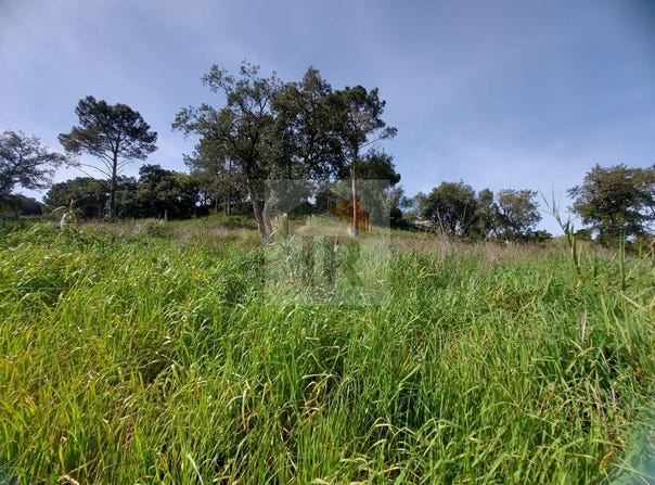 Caldas da Rainha, Leiria District