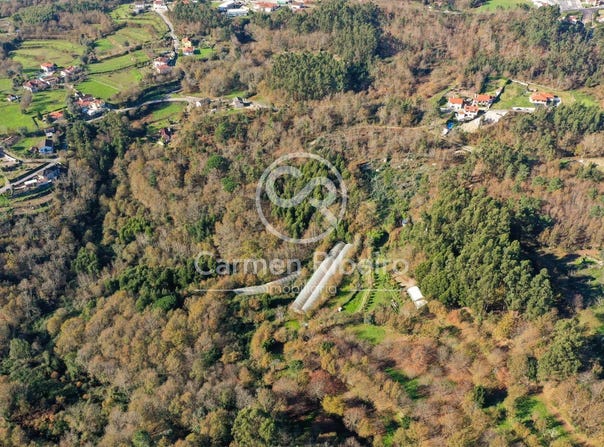 Fafe, Braga Municipality 4820