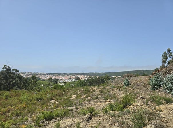 Foz Do Arelho, Leiria 2500