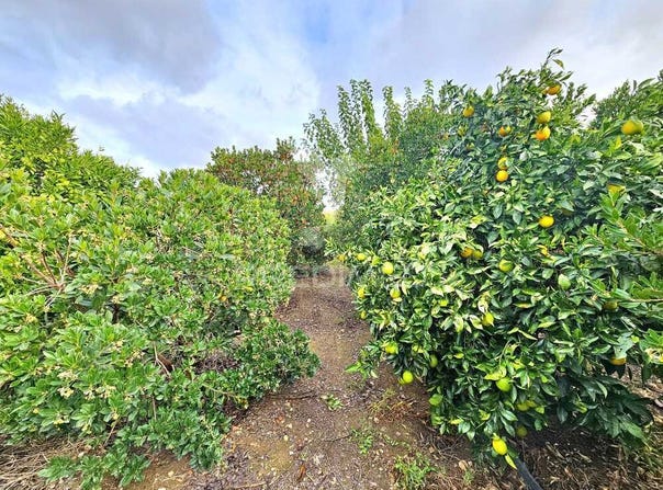 Entradas, Castro Verde, Beja District