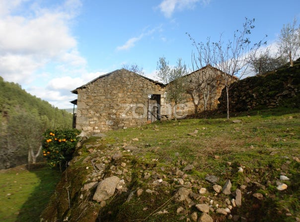 Sabrosa, Vila Real District