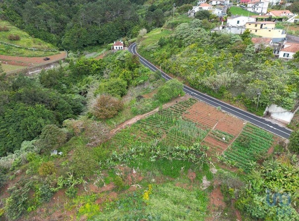 Ilha da Madeira, Madeira
