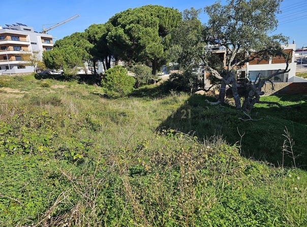 Setúbal (São Sebastião), Setubal