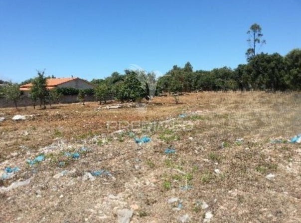 Turquel, Alcobaça, Leiria District 2460