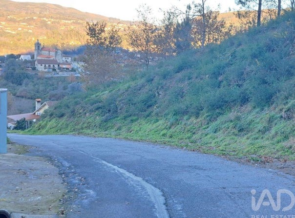 Braga, Braga