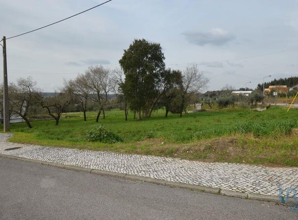 Leiria, Leiria District
